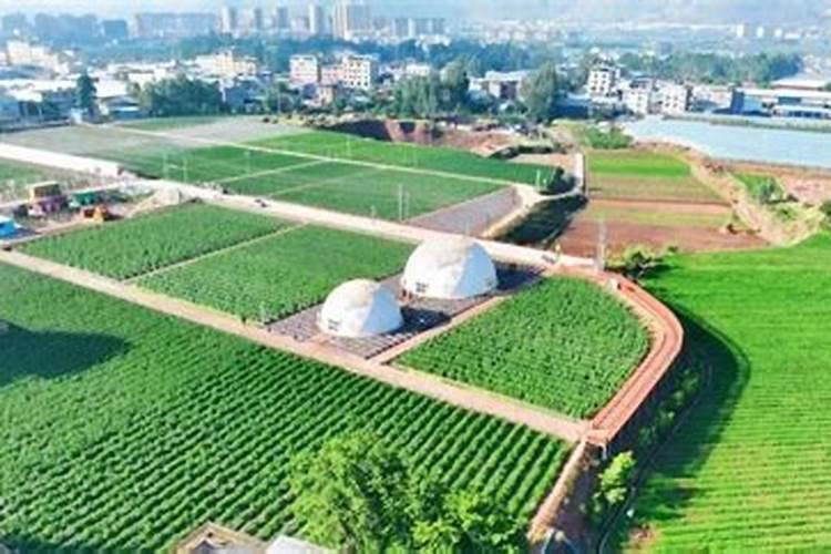 云南干旱地区有哪些