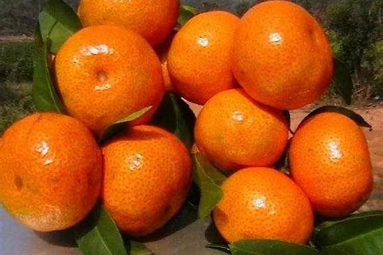 藻类植物在农业、渔业、净化废水方面有哪些作用