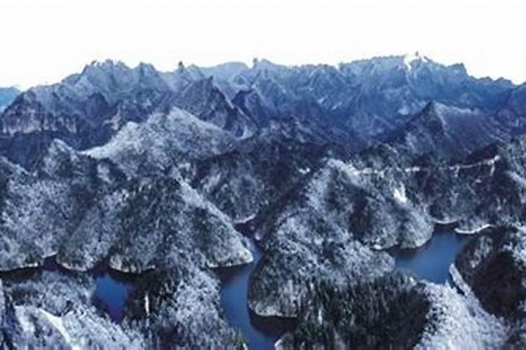 九道水溶肥怎么样