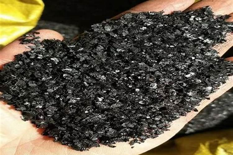 珠海淇澳岛种什么经济作物效益最高