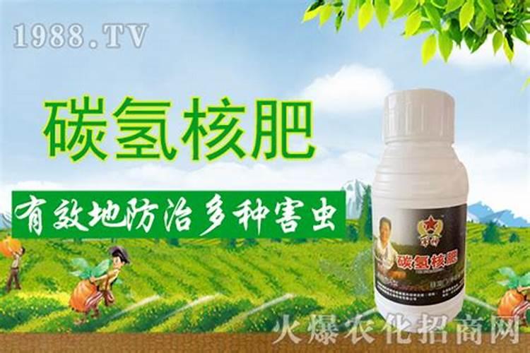 使用有机肥有哪些好坏处