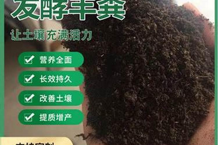 黄精中药材专用生物有机肥有那几种