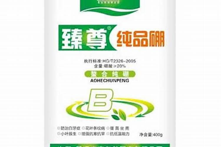 种玉米需要颗粒硼肥吗？