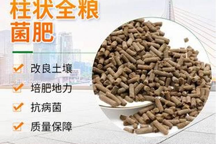 柑橘施春肥用什么肥料好？