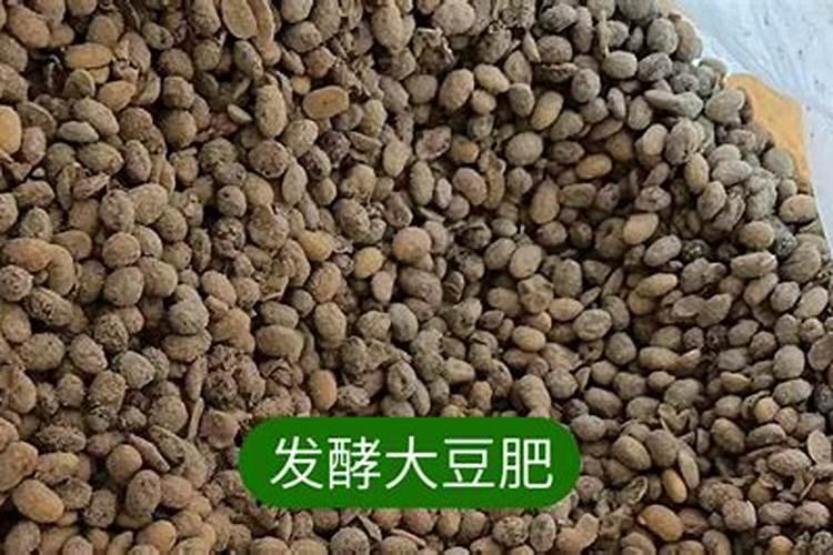 怎么施用大豆根瘤菌肥？
