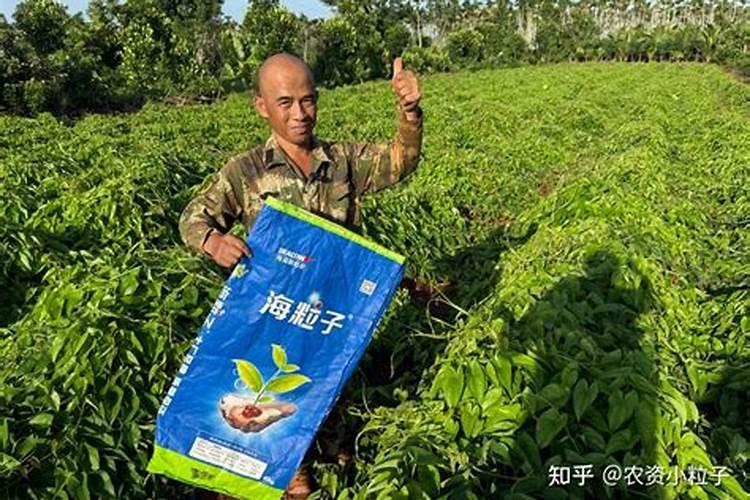 海藻肥国内那家品质量好？生物有机肥那家好？有机碳肥如何？