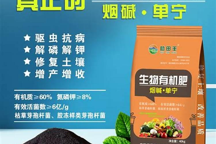 橙子什么时候熟的啊？