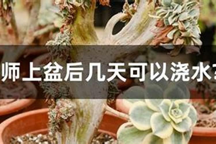广东埃尔法电子厂怎么样,上班穿什么衣服