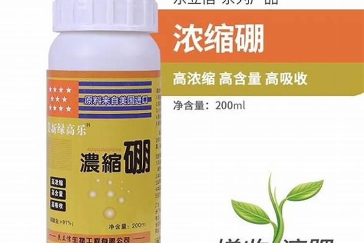 硼砂、硼酸及硼肥生产技术