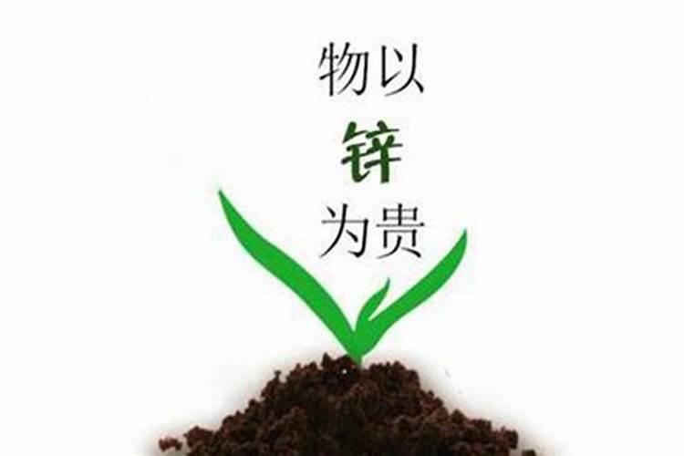 小麦喷施尿素一亩用多少合适 小麦什么时候可以喷施尿素