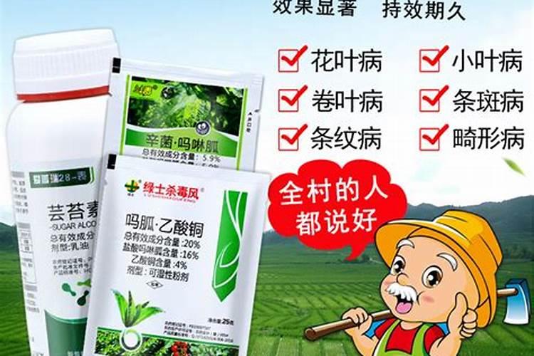 香蕉里都含有什么维生素和矿物质