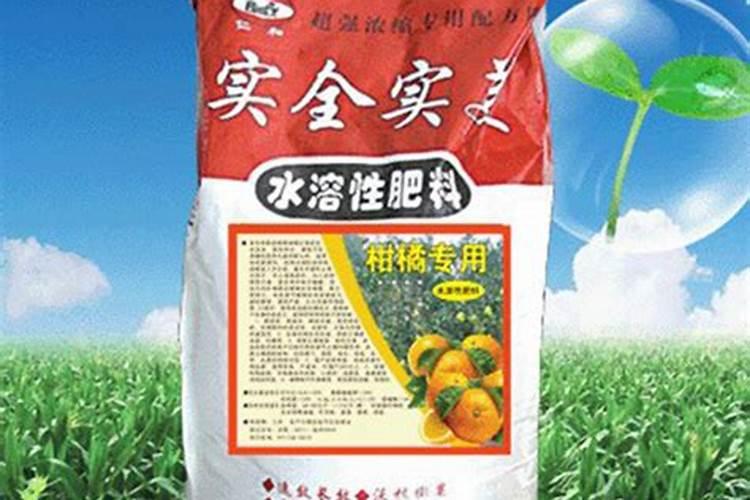 如何给柑橘树施肥