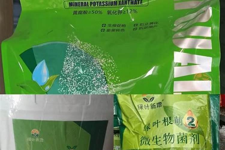 种包菜用什么土比较好
