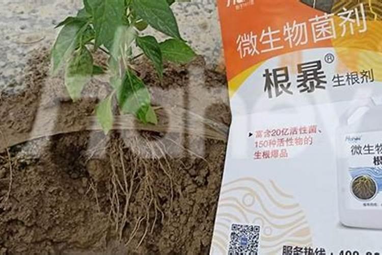 水溶肥一定要选正规靠谱的,小心上当