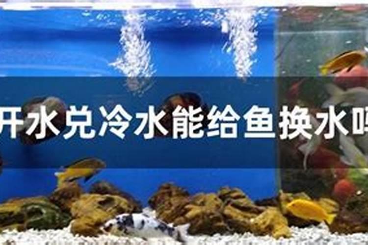 十斤水加多少克鱼蛋白原浆合适