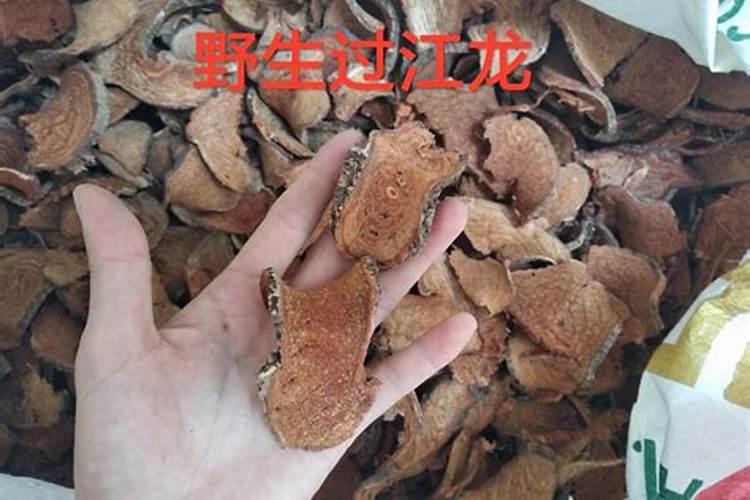 重楼多少钱一斤 重楼价格450600元一斤