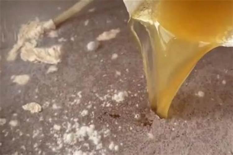 喀什树木伤口愈合剂批发市场在哪里