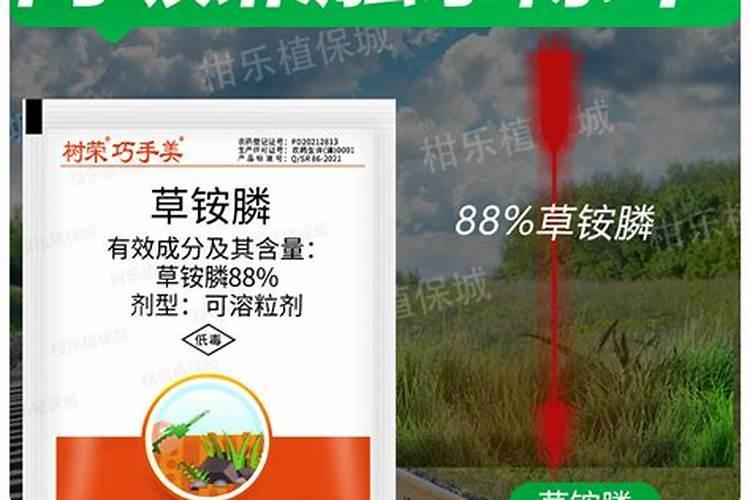 大姜出苗前用草胺磷肥可以吗？