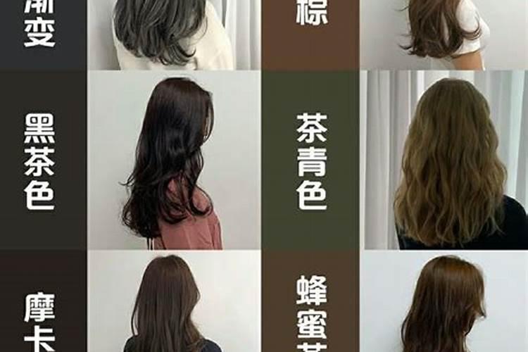 怎样判断杜鹃花该浇水