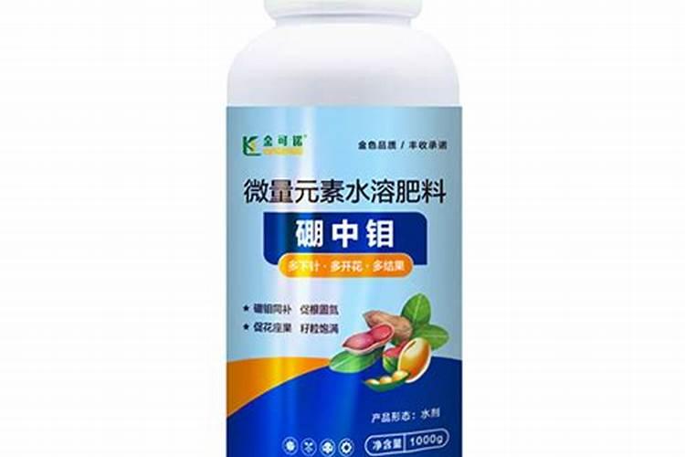 叶面喷施硼肥的最佳时间硼肥应该怎么用