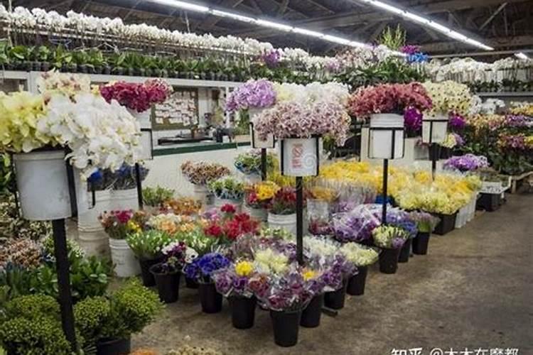 花施肥用什么肥料最好