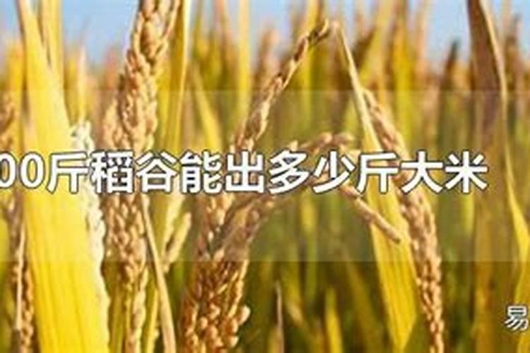 怎么用氮磷钾施肥效果好
