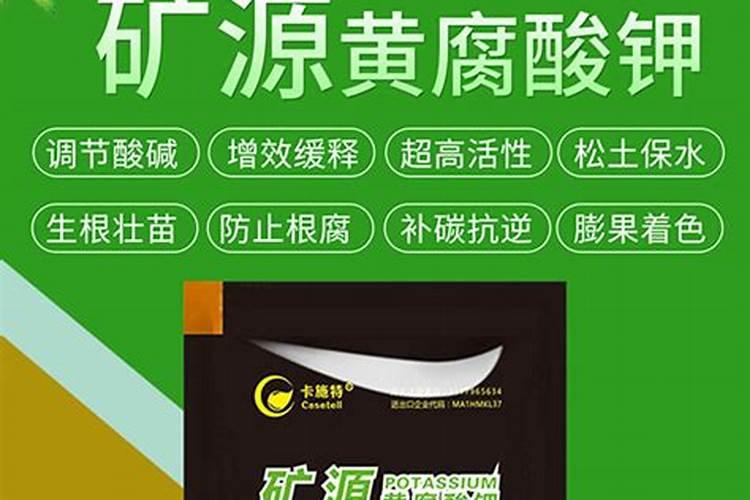 黄瓜每个阶段怎样施肥