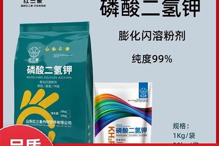 发酵的果蔬素肥有哪些