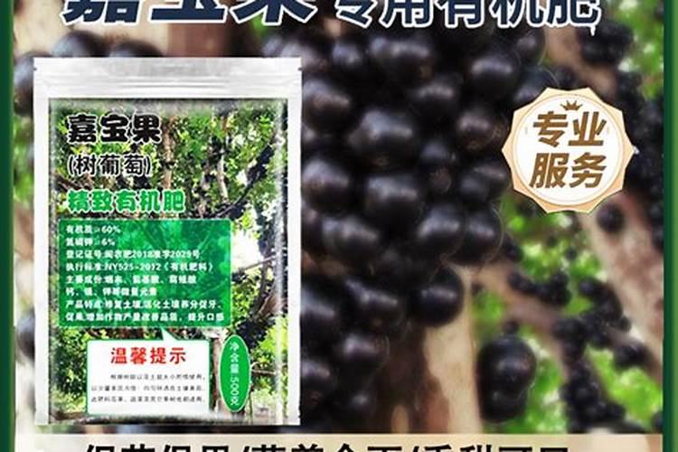 嘉宝果种植方法和技巧