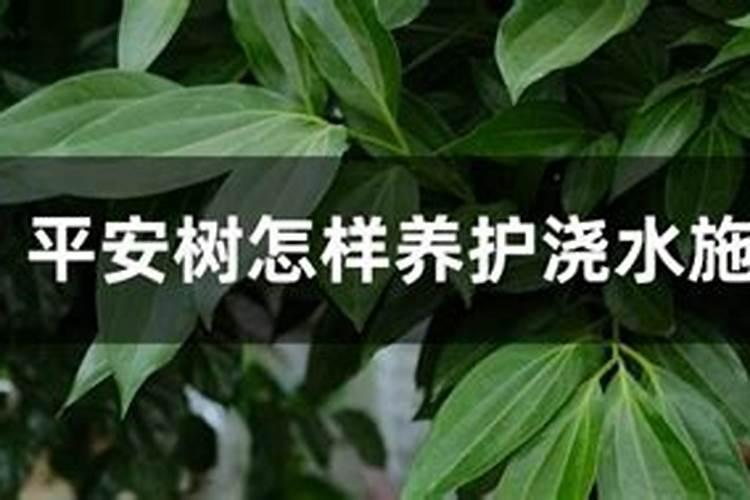 怎样辨别矿源黄腐酸钾的真假？