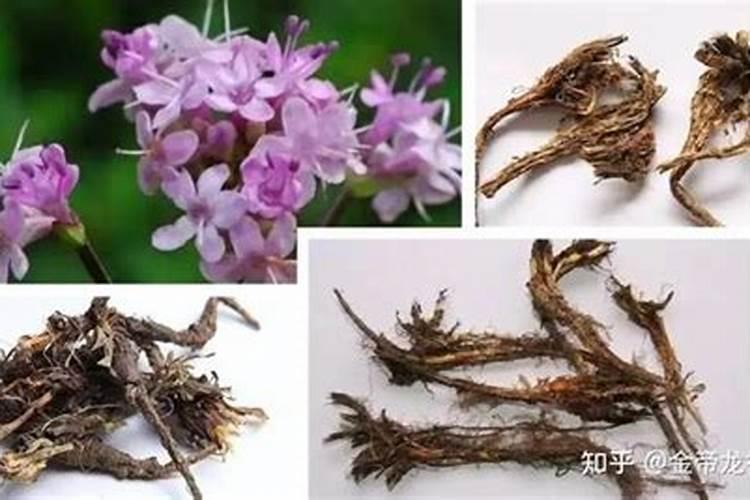 橙子的需肥特点,橙子一次喷施多少肥料合适？橙子保花保果防裂用“调色...