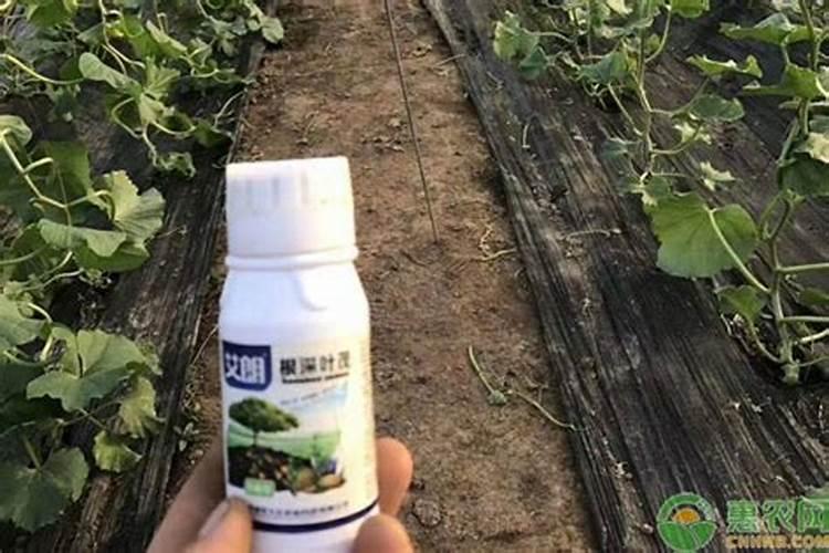 叶面肥多少钱一袋