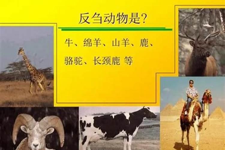 草莓下雨天外面晚上零下4度大棚内多少度合适？