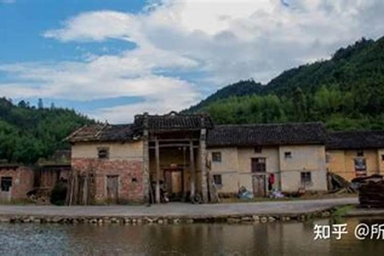 玉米打什么叶面肥最好