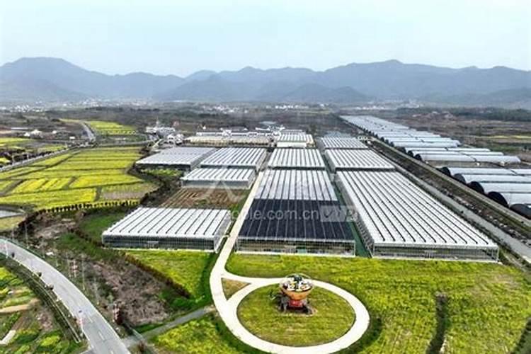 那些蔬菜可以用叶面肥