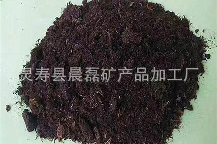 石灰粉能给果树当钙肥吗？