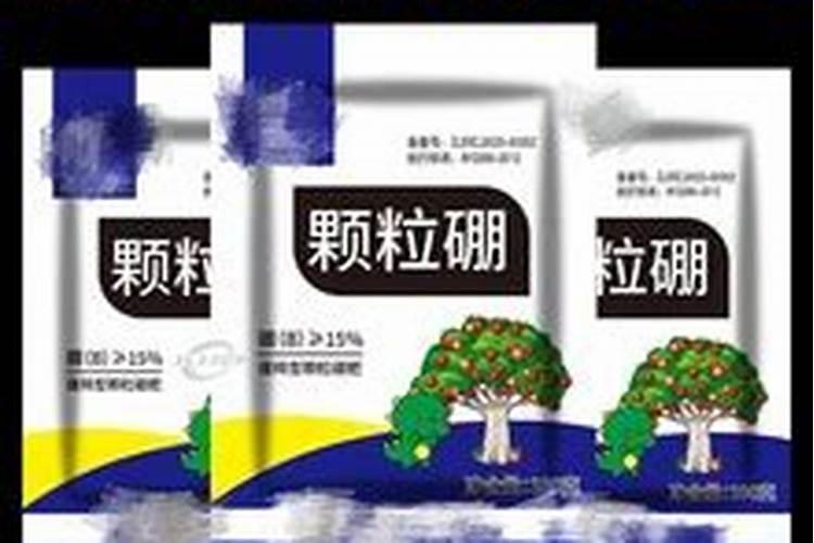 空气凤梨怎么施肥