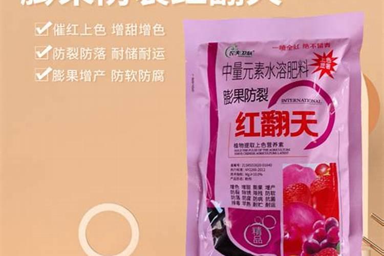 怎么种菠萝蜜