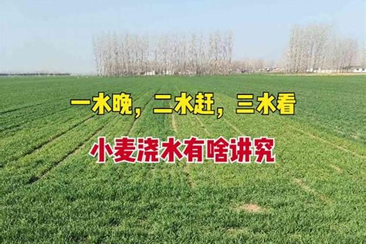 小麦出土后第一次追肥,应该用什么肥料？