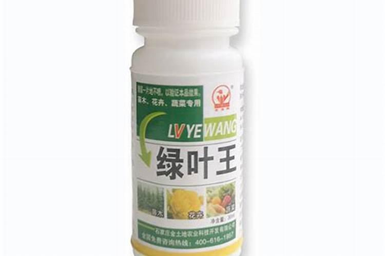 绿萝可以用复合肥吗