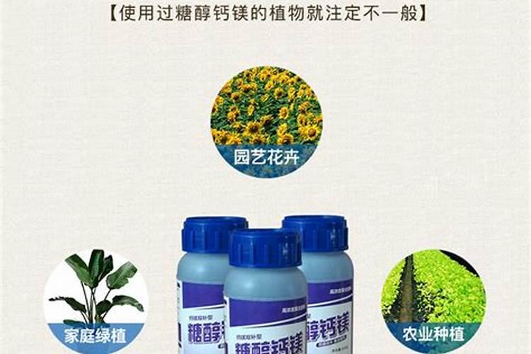 山梨糖醇有什么用途？