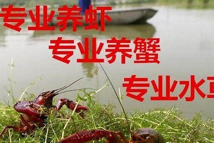 沃利丹多肽氮肥是正规的吗