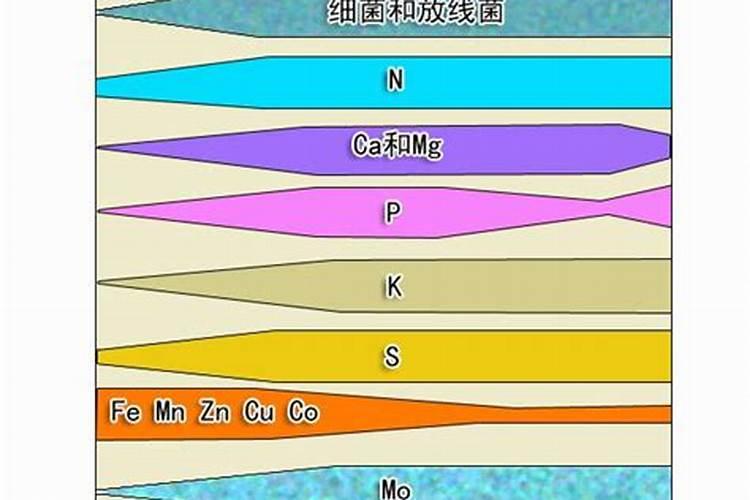 磷肥的作用是什么 磷肥怎么使用正确