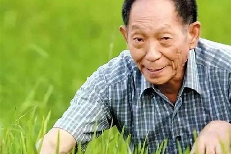 化肥是什么时候发明的