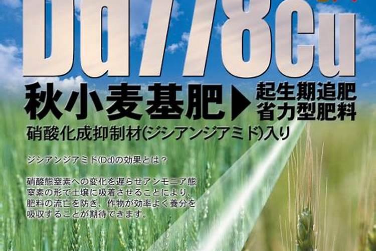 小麦最忌三种肥料
