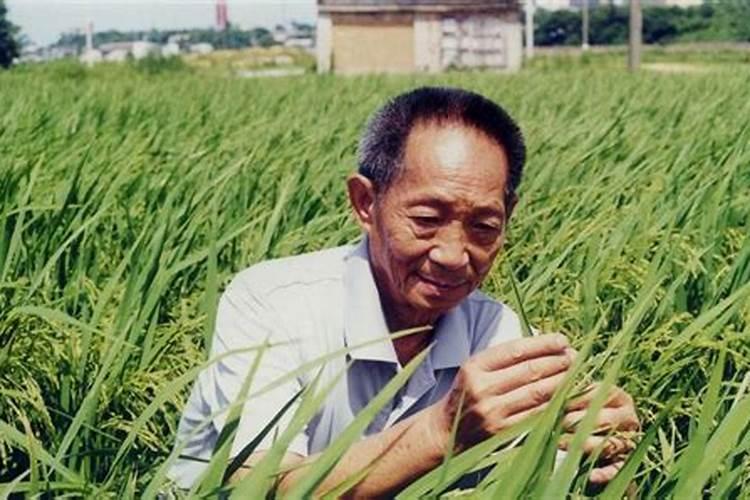 获得“未来科学大奖”生命科学奖的袁隆平,主要都做出了什么贡献？