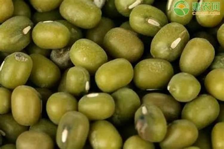 红薯生长后期适当喷施叶面肥,都有哪些作用？
