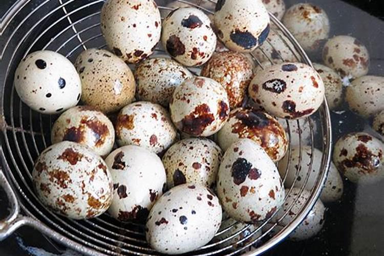 茄子夏季施肥有哪些禁忌？