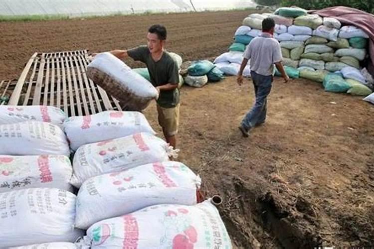 什么肥料可以治盐碱地