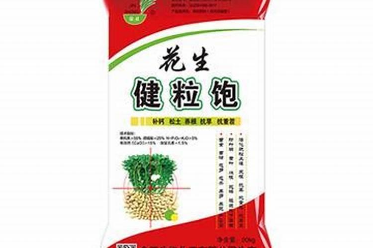 硅肥在黄瓜的最佳时期